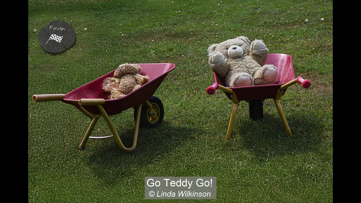 Go Teddy Go!